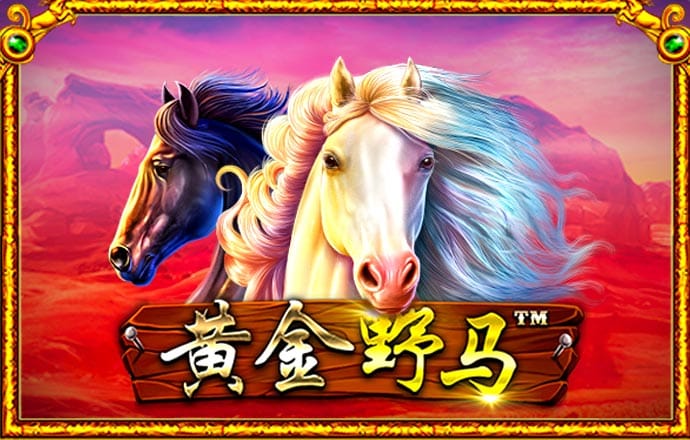 42982金牛网论坛开奖截图3